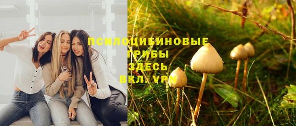 стафф Абинск