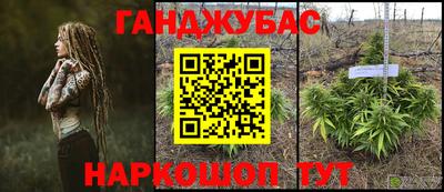 прущие грибы Ирбит