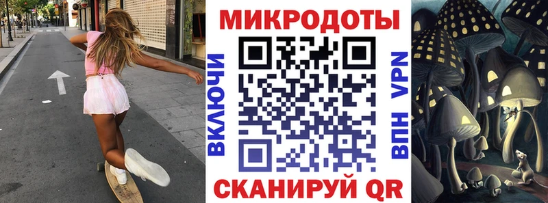 продажа наркотиков  Камень-на-Оби  блэк спрут ССЫЛКА  Псилоцибиновые грибы GOLDEN TEACHER 